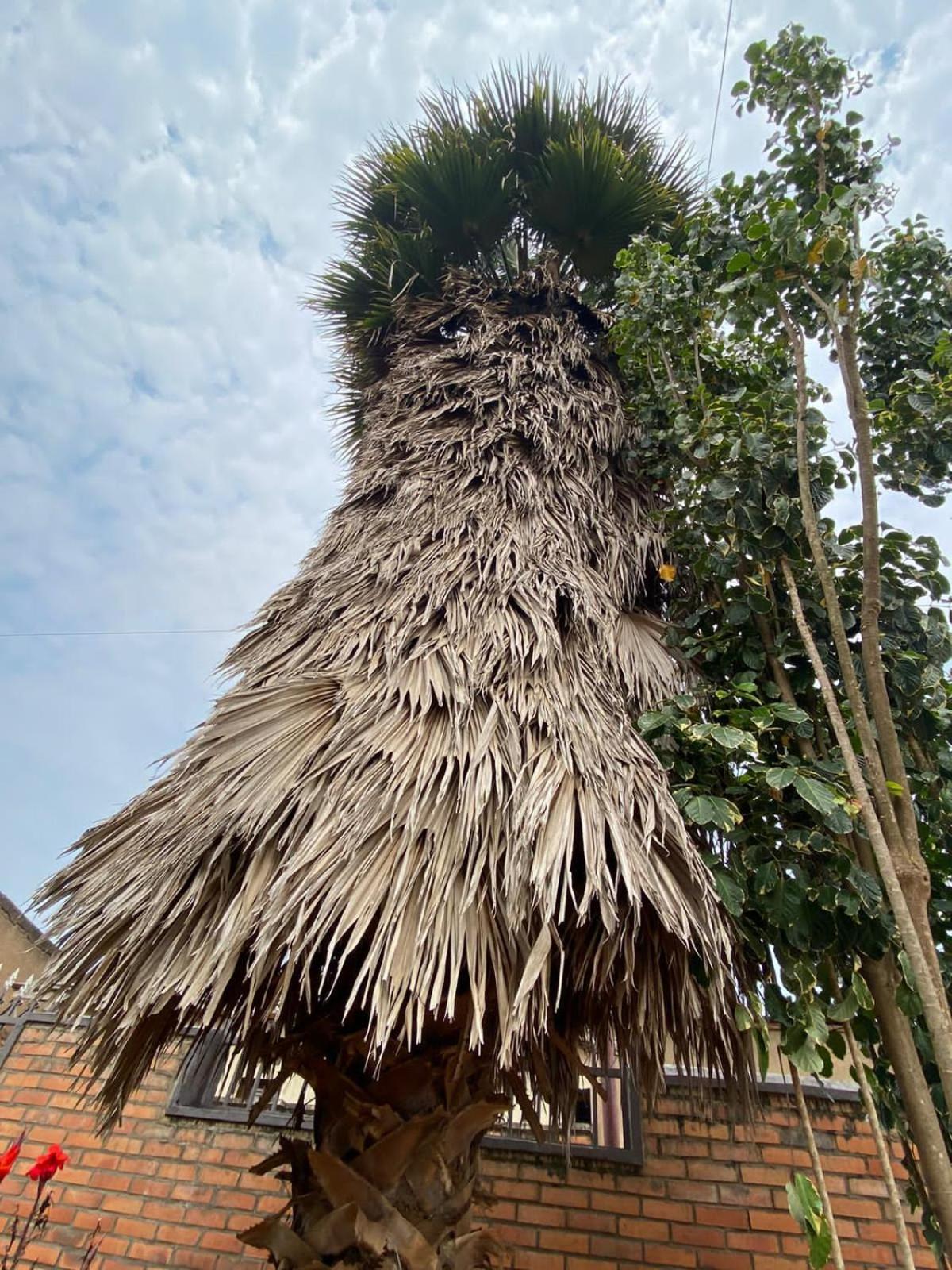 Bizi Homes Kigali Kültér fotó